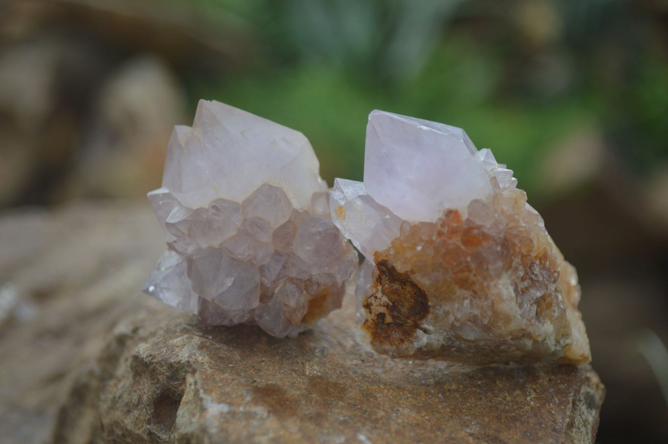 Natural Rare Spirit Ametrine Quartz Crystals  x 35 From Boekenhouthoek, South Africa - Toprock Gemstones and Minerals 