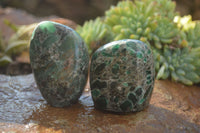 Polished Emerald In Matrix Standing Free Forms x 6 From Sandawana, Zimbabwe - TopRock