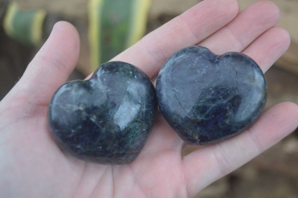Polished Iolite / Water Sapphire Hearts  x 12 From Madagascar - TopRock