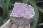 Natural Pink Salrose Cobaltion Dolomite Specimens  x 6 From Kakanda, Congo - Toprock Gemstones and Minerals 