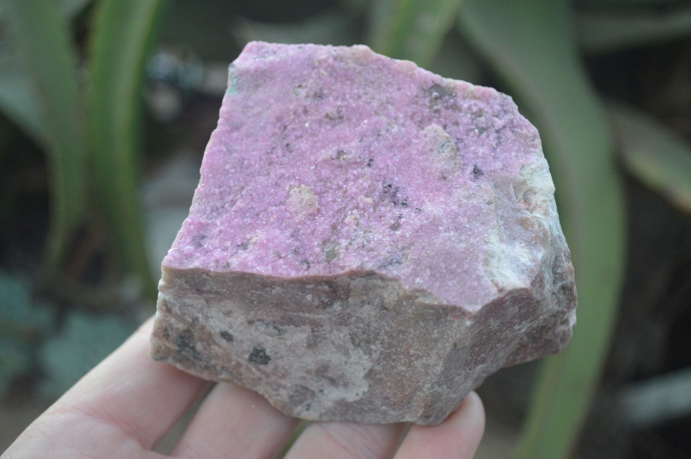 Natural Pink Salrose Cobaltion Dolomite Specimens  x 6 From Kakanda, Congo - Toprock Gemstones and Minerals 