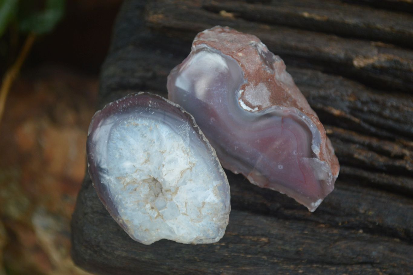 Polished Red River Agate Nodules  x 13 From Sashe River, Zimbabwe - Toprock Gemstones and Minerals 