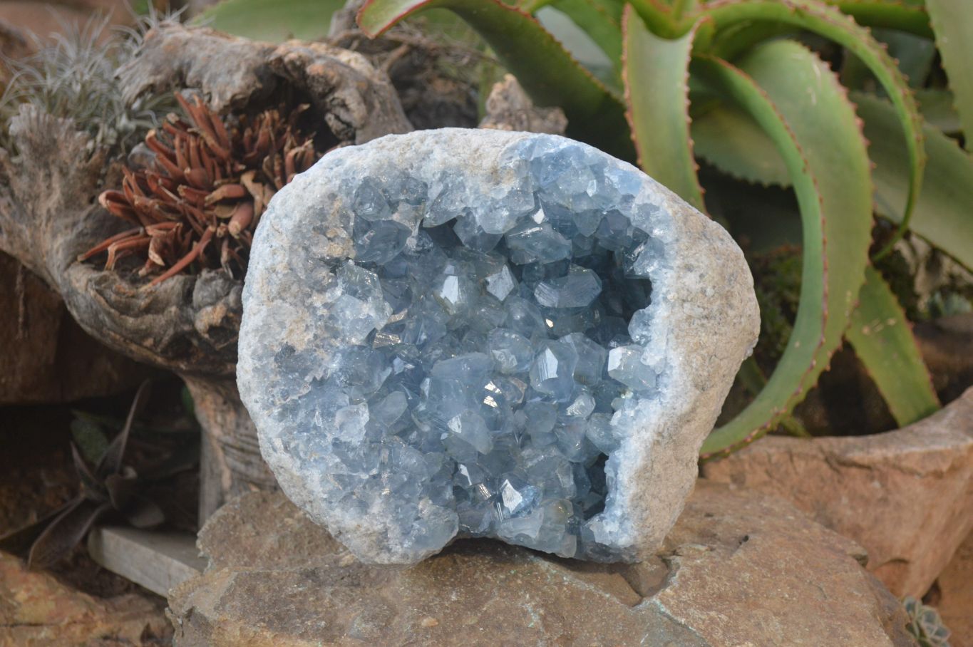 Natural Blue Celestite Geode Specimen  x 1 From Sakoany, Madagascar - Toprock Gemstones and Minerals 