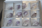Natural Single Jacaranda Amethyst Crystals x 12 From Zambia - Toprock Gemstones and Minerals 