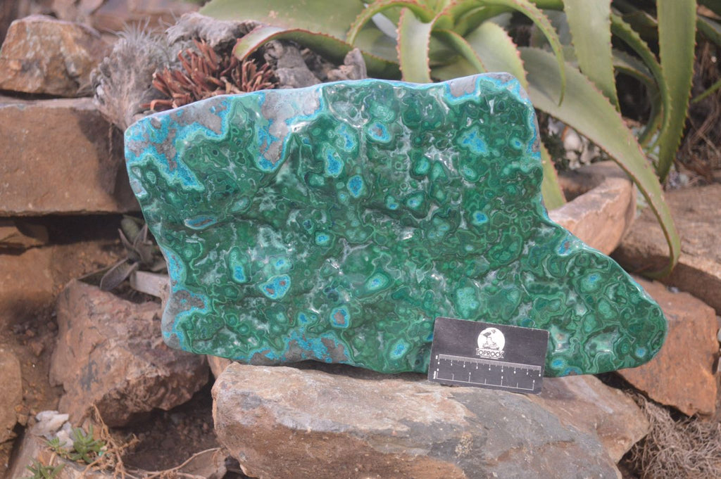 Polished Extra Large Malacholla Plate Specimen x 1 From Kulukuluku, Congo - Toprock Gemstones and Minerals 