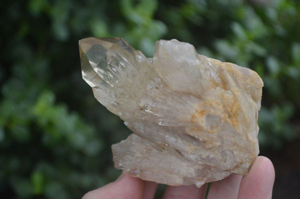 Natural Cascading White Phantom Smokey Quartz Crystal Specimens  x 6 From Luena, Congo - Toprock Gemstones and Minerals 