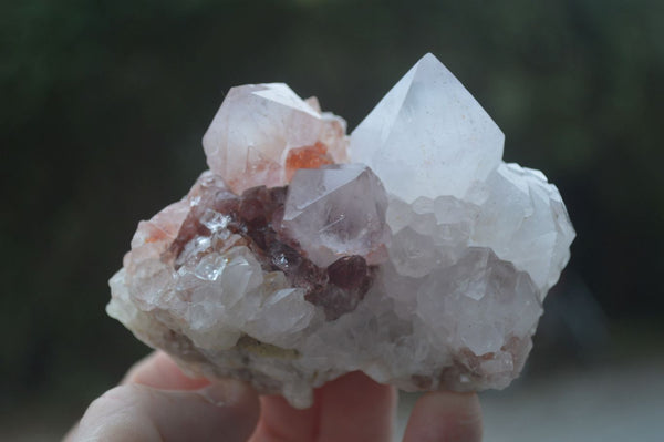 Natural Mixed Spirit Quartz Clusters  x 12 From Boekenhouthoek, South Africa - Toprock Gemstones and Minerals 