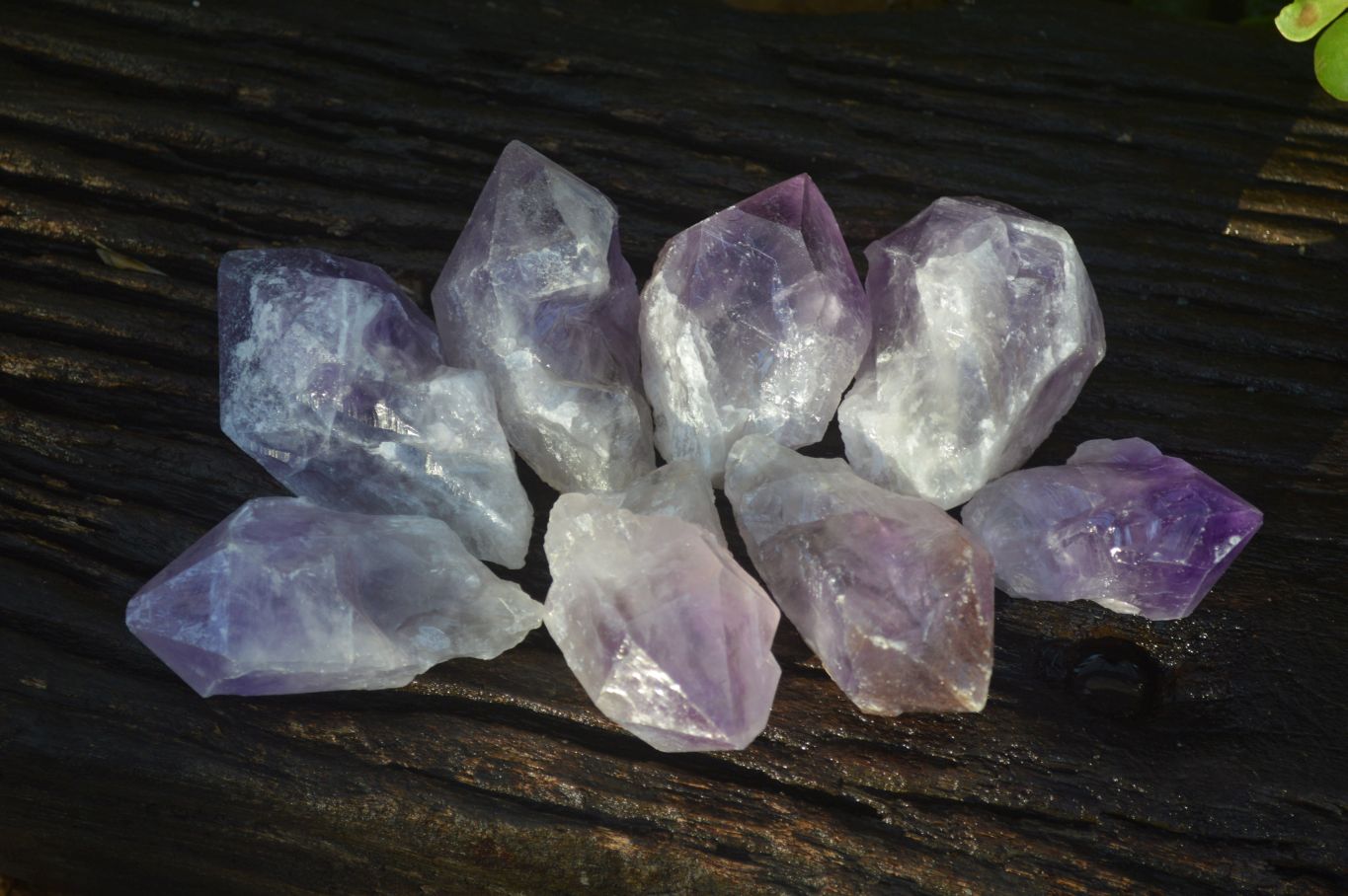 Natural Single Jacaranda Amethyst Crystals x 12 From Zambia - Toprock Gemstones and Minerals 