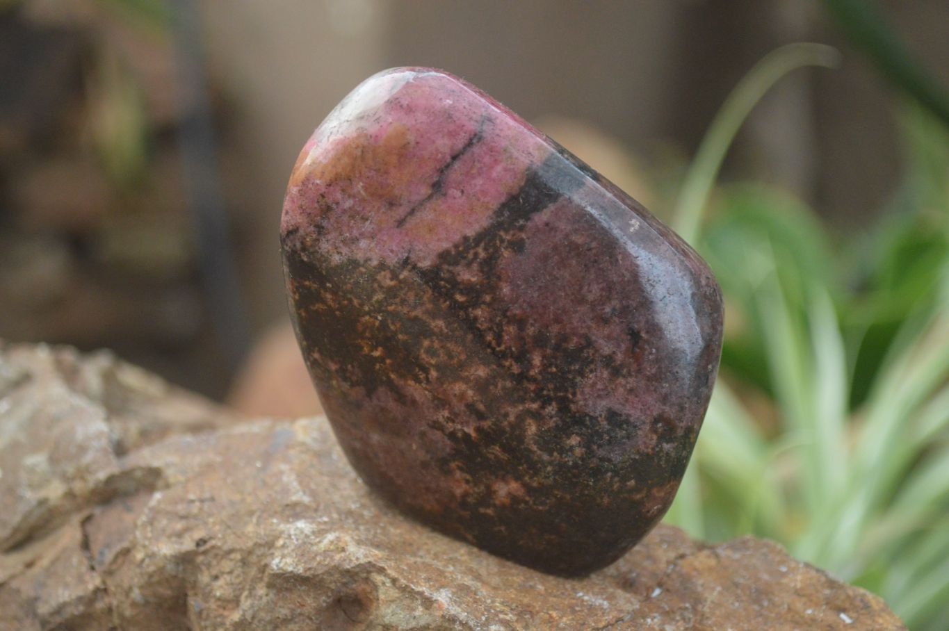 Polished Mixed Selection Of Retail Items  x 4 From Southern Africa - Toprock Gemstones and Minerals 