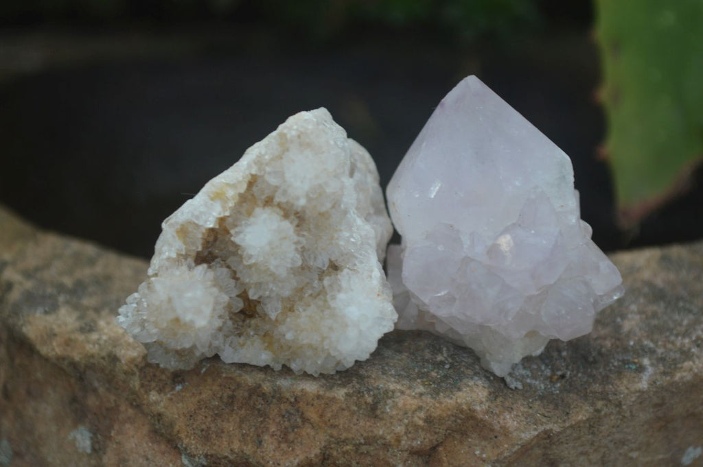 Natural Small Mixed Spirit Quartz Specimens  x 35 From Boekenhouthoek, South Africa - Toprock Gemstones and Minerals 
