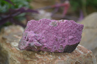 Natural Pink Salrose Cobaltion Dolomite Specimens  x 6 From Kakanda, Congo - Toprock Gemstones and Minerals 