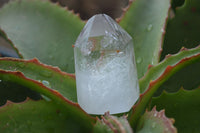 Polished Clear Quartz Crystal Points x 12 From Madagascar - Toprock Gemstones and Minerals 