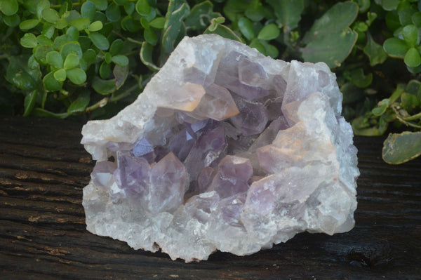 Natural Jacaranda Amethyst Geode Specimen  x 1 From Zambia - Toprock Gemstones and Minerals 