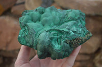 Natural Large Botryoidal Crystalline Malachite Specimen  x 1 From Congo - Toprock Gemstones and Minerals 