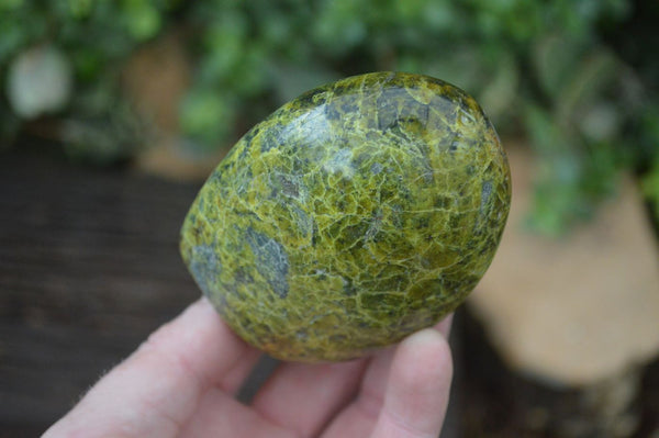 Polished Green Opal Standing Free Forms  x 6 From Madagascar - Toprock Gemstones and Minerals 