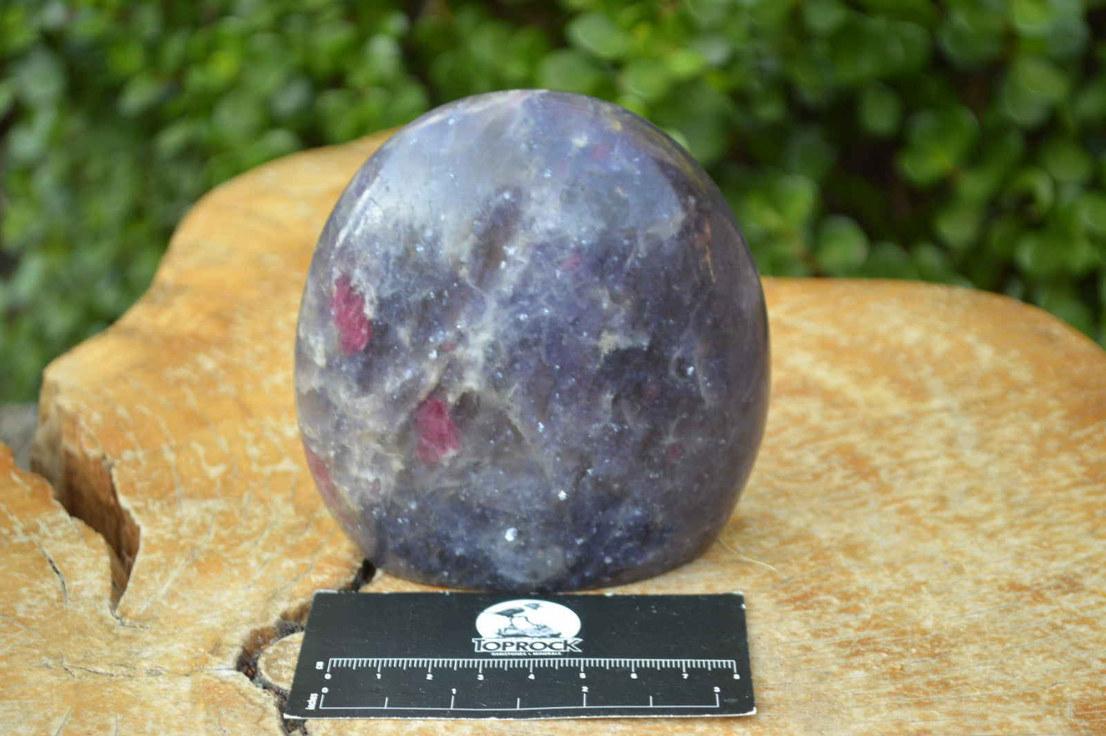 Polished Purple Lepidolite Standing Free Forms With Pink Tourmaline Inclusions  x 2 From Madagascar - TopRock