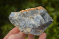 Natural New Sky Blue Calcite Specimens  x 15 From Spitzkop, Namibia - Toprock Gemstones and Minerals 