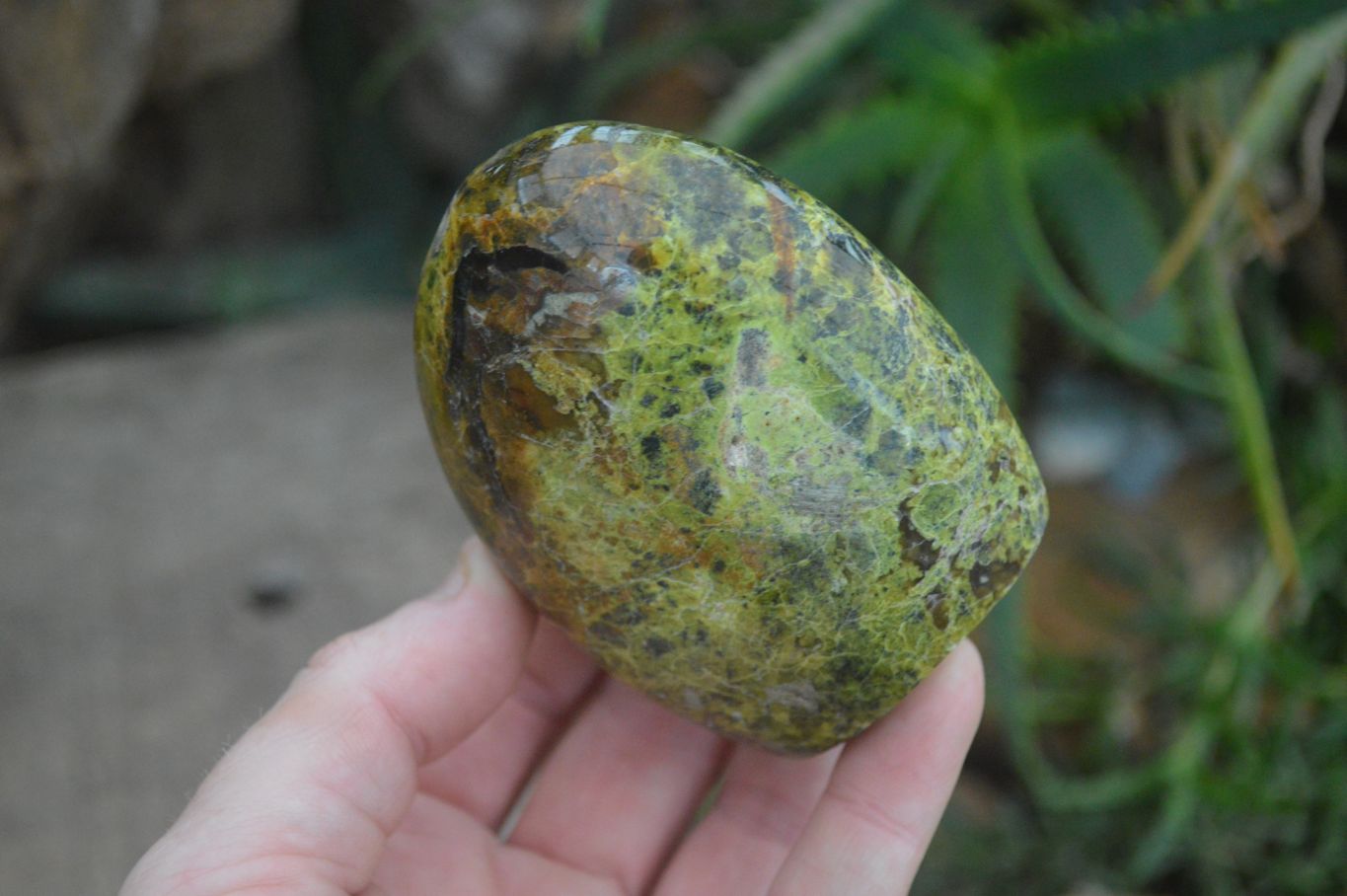 Polished Green Opal Standing Free Forms  x 6 From Madagascar - Toprock Gemstones and Minerals 