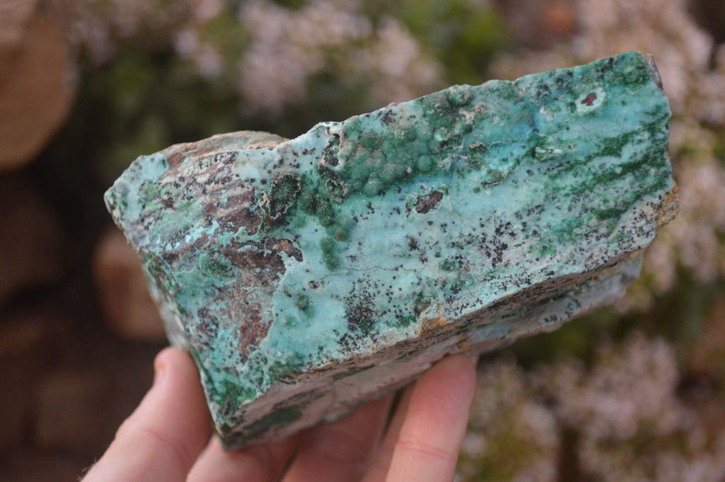 Natural Drusy Coated Chrysocolla & Malachite Dolomite Specimens x 2 From Likasi, Congo - Toprock Gemstones and Minerals 