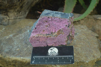 Natural Pink Salrose Cobaltion Dolomite Specimens  x 6 From Kakanda, Congo - Toprock Gemstones and Minerals 