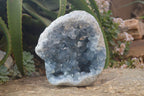 Natural Blue Celestite Geode Specimen  x 1 From Sakoany, Madagascar - Toprock Gemstones and Minerals 