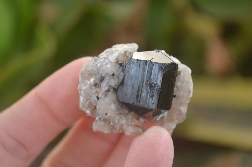 Natural Schorl Black Tourmaline Specimens x 12 From Erongo, Namibia - Toprock Gemstones and Minerals 