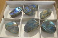 Polished Labradorite Standing Free Forms  x 6 From Tulear, Madagascar - Toprock Gemstones and Minerals 
