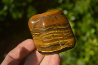 Polished Golden Tigers Eye Free Forms x 12 From Prieska, Northern Cape