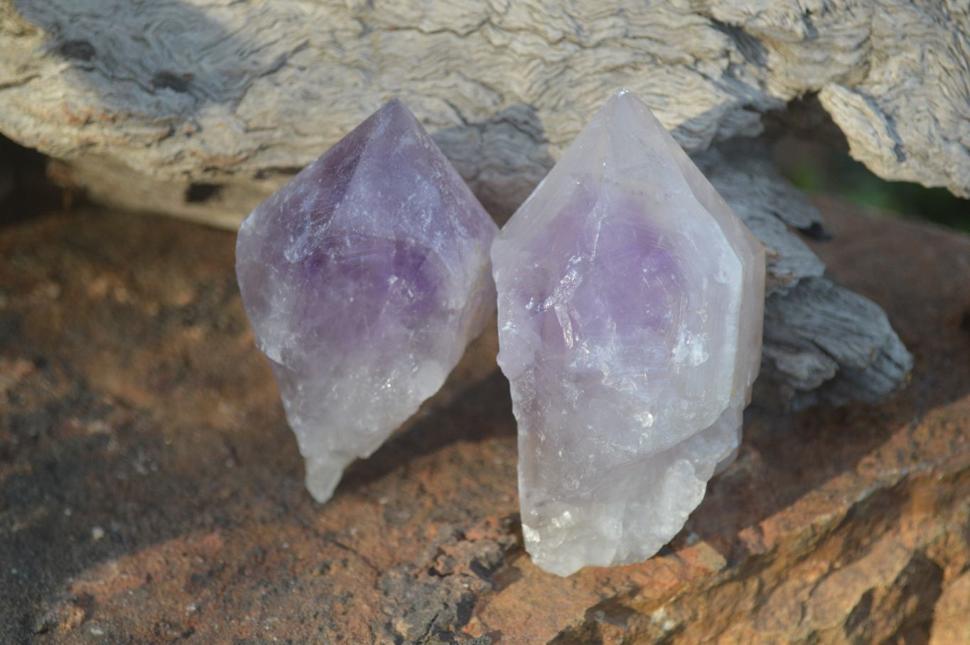 Natural Single Jacaranda Amethyst Crystals x 12 From Zambia - Toprock Gemstones and Minerals 