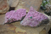 Natural Pink Salrose Cobaltion Dolomite Specimens  x 6 From Kakanda, Congo - Toprock Gemstones and Minerals 