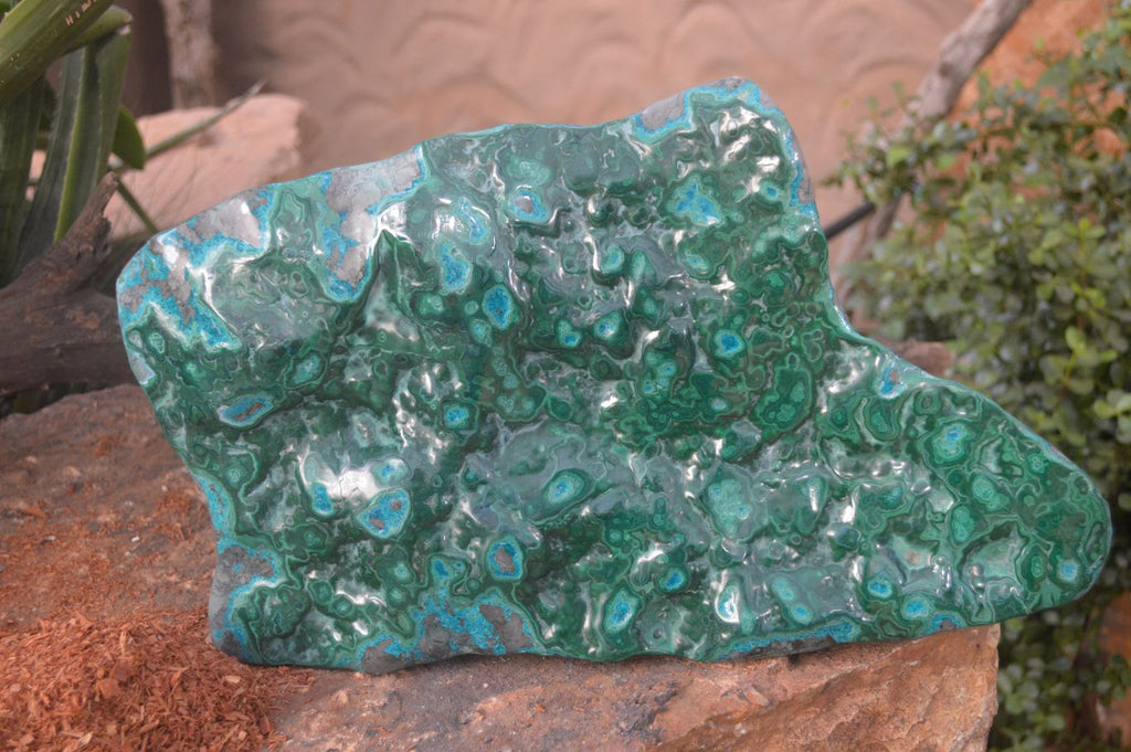 Polished Extra Large Malacholla Plate Specimen x 1 From Kulukuluku, Congo - Toprock Gemstones and Minerals 