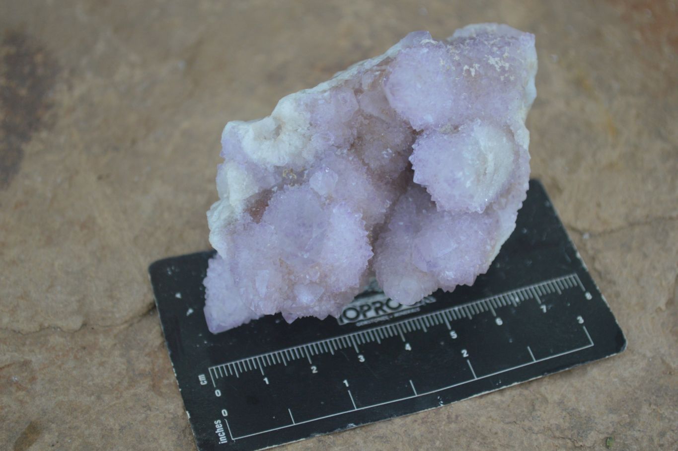 Natural Mixed Spirit Quartz Clusters  x 12 From Boekenhouthoek, South Africa - Toprock Gemstones and Minerals 