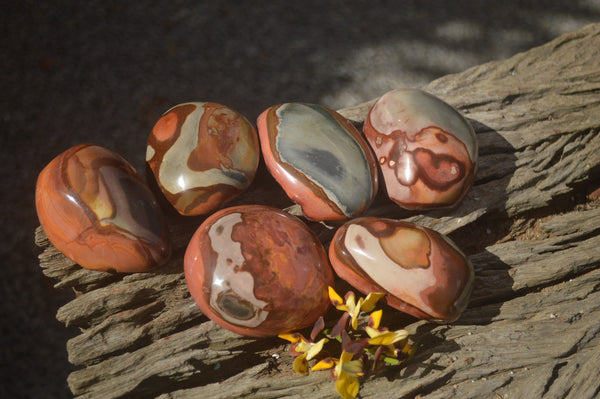 Natural Polychrome / Picasso Jasper Domes  x 6 From Madagascar - TopRock