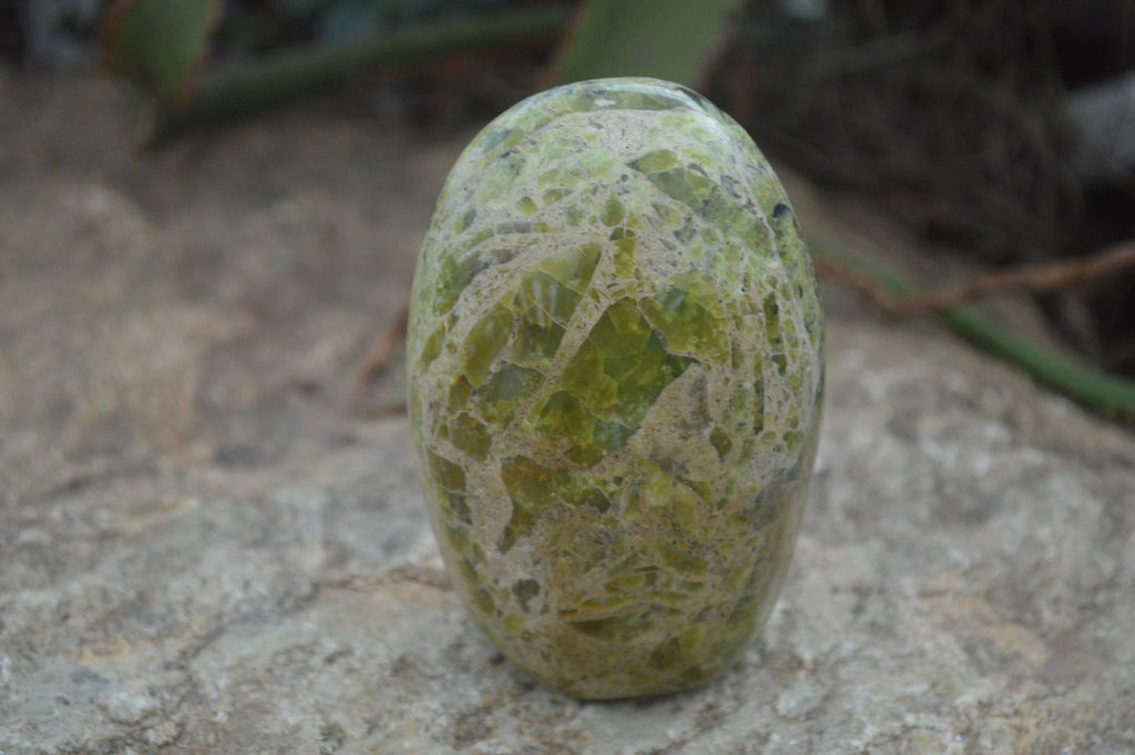 Polished Green Opal Standing Free Forms  x 6 From Madagascar - Toprock Gemstones and Minerals 