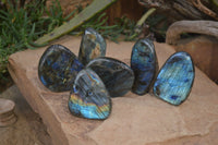 Polished Labradorite Standing Free Forms  x 6 From Tulear, Madagascar - Toprock Gemstones and Minerals 