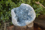 Natural Blue Celestite Geode Specimen  x 1 From Sakoany, Madagascar - Toprock Gemstones and Minerals 