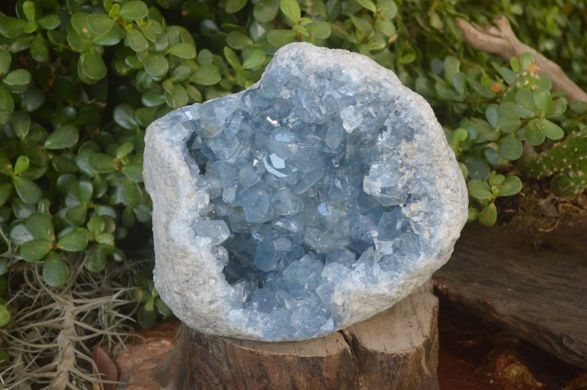 Natural Blue Celestite Geode Specimen  x 1 From Sakoany, Madagascar - Toprock Gemstones and Minerals 