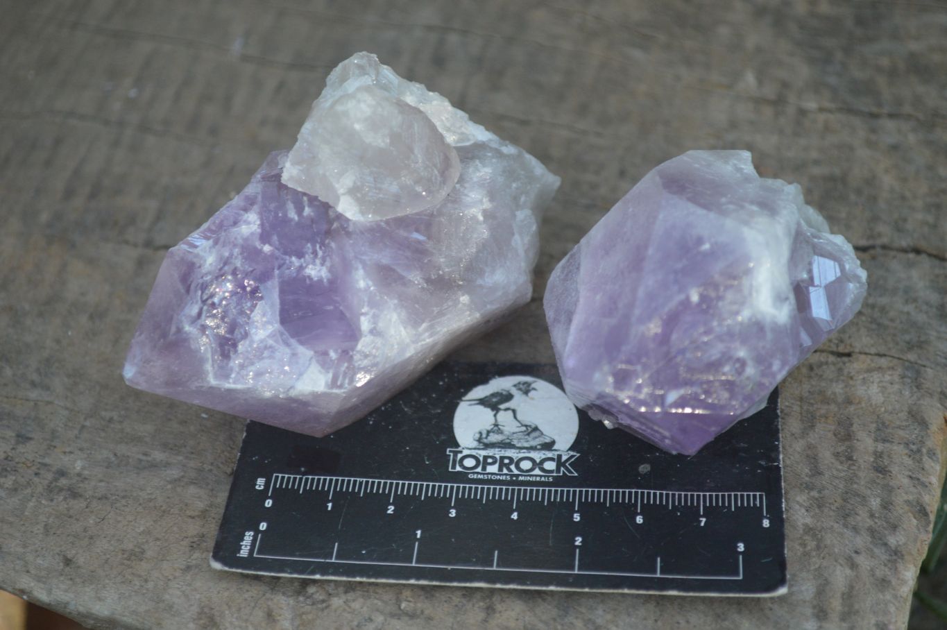 Natural Single Jacaranda Amethyst Crystals x 12 From Zambia - Toprock Gemstones and Minerals 