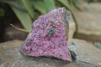 Natural Pink Salrose Cobaltion Dolomite Specimens  x 6 From Kakanda, Congo - Toprock Gemstones and Minerals 