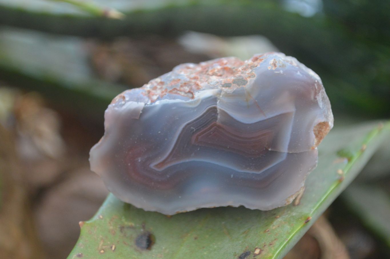 Polished Red River Agate Nodules  x 13 From Sashe River, Zimbabwe - Toprock Gemstones and Minerals 