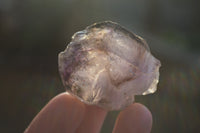 Natural Smokey Skeletal Amethyst Crystals  x 6 From Chiredzi, Zimbabwe - Toprock Gemstones and Minerals 