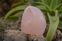 Polished Gemmy Pink Rose Quartz Standing Free Forms  x 3 From Ambatondrazaka, Madagascar - TopRock