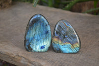 Polished Labradorite Standing Free Forms  x 6 From Tulear, Madagascar - Toprock Gemstones and Minerals 