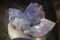 Natural Single Jacaranda Amethyst Crystals x 12 From Zambia - Toprock Gemstones and Minerals 