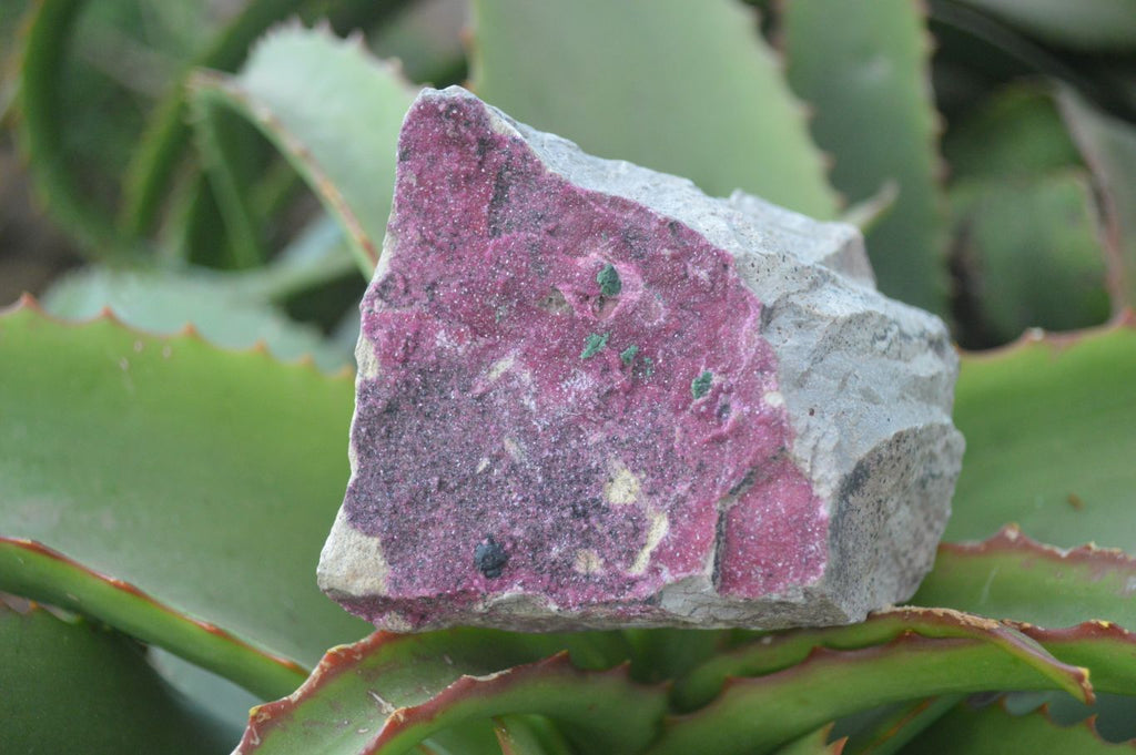 Natural Pink Salrose Cobaltion Dolomite Specimens  x 6 From Kakanda, Congo - Toprock Gemstones and Minerals 