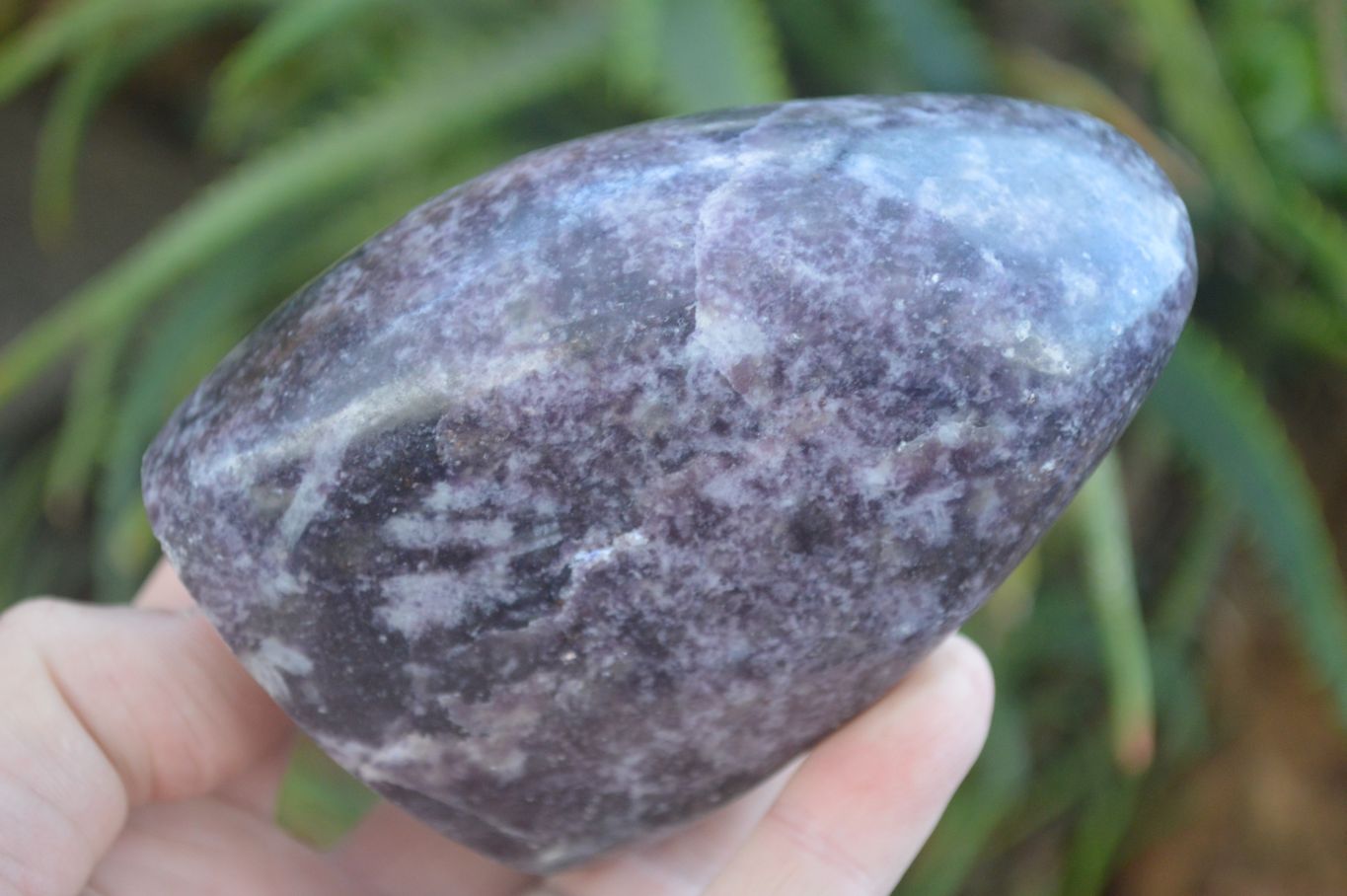 Polished Purple Lepidolite Free Forms  x 3 From Zimbabwe - Toprock Gemstones and Minerals 