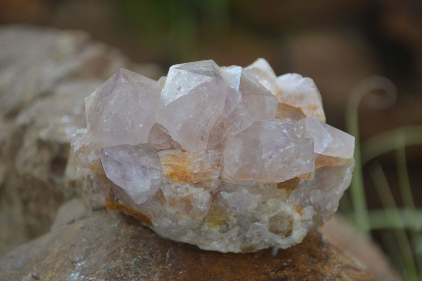 Natural Mixed Spirit Quartz Clusters  x 12 From Boekenhouthoek, South Africa - Toprock Gemstones and Minerals 