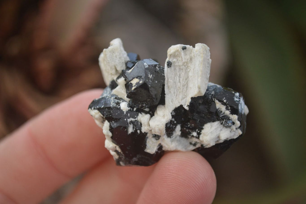 Natural Schorl Black Tourmaline Specimens x 12 From Erongo, Namibia - Toprock Gemstones and Minerals 