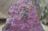 Natural Pink Salrose Cobaltion Dolomite Specimens  x 6 From Kakanda, Congo - Toprock Gemstones and Minerals 