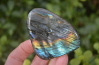 Polished Labradorite Standing Free Forms  x 6 From Tulear, Madagascar - Toprock Gemstones and Minerals 